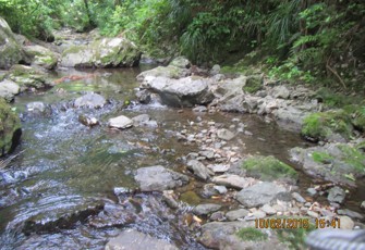 Whanarua at SH 35