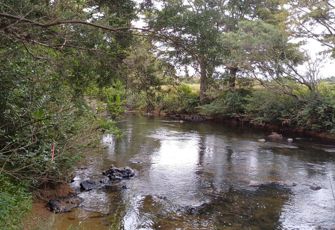 Punakitere River