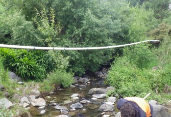 Pawsons Stream upstream