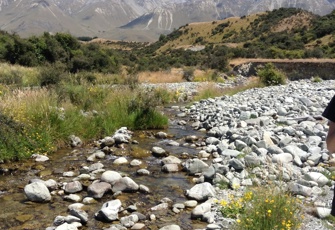 Scour Stream Upstream