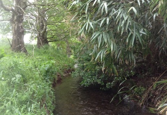 Kaiapoi Harpers Rd Upstream