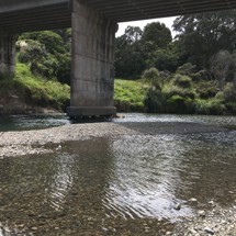 Kereu