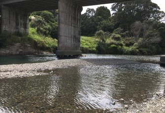 Kereu at SH35