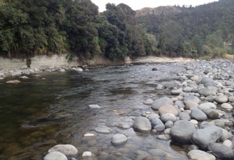 Manganui o te Ao at Ruatiti Domain