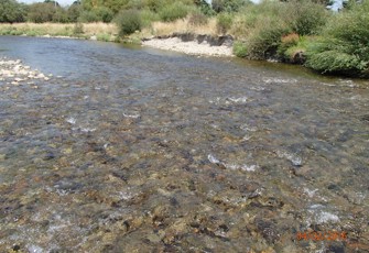 Mangatainoka at Scarborough Konini Rd