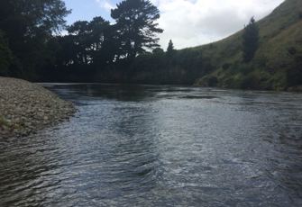 Mangahao River at Poplar Reserve