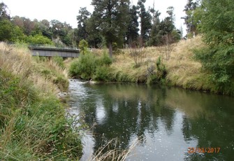 Hautapu at Papakai Park (3)