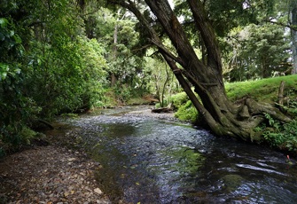 Otaika River at Otaika Valley Road Otaika at Otaika Valley Road