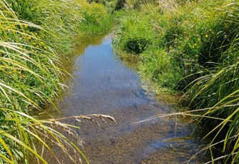 Maraetōtara - Ōhope at Robert Lane Bridge