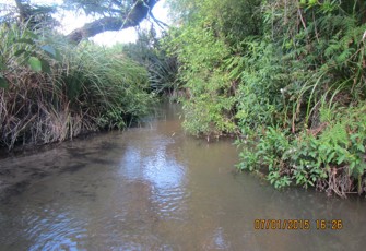 Waiohewa at Rangiteaorere Road Bridge