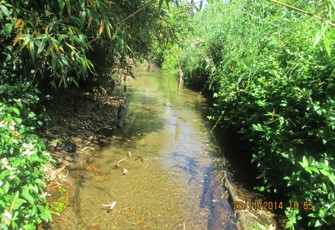 Ngakauroa at MacDonald Rd