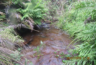 Pahekeheke at Pokairoa Rd