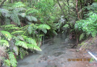 Buddles at Fenton Mill Rd