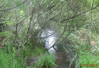 Te Wairoa at Tarawera Rd