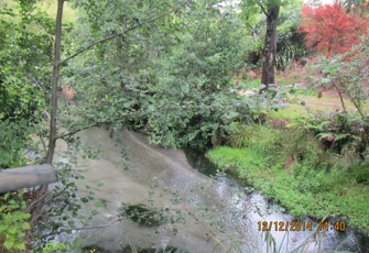 Ruruanga at Prideaux Park