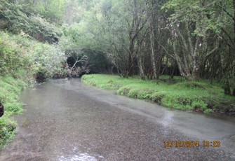 Ruruanga at Valley Rd