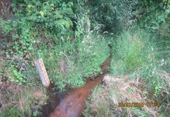 Lake Okereka Trib. at Millar Rd