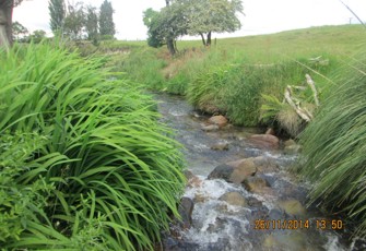Waikamihi at Braemar Rd