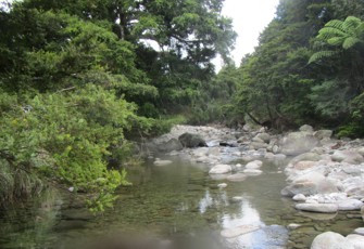 Uretara at Rea Rd, No. 300