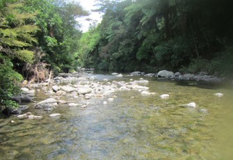 Tuapiro at Woodland Rd Ford