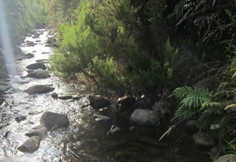 Quarry 700m u/s Boyd confluence