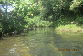 Waiau at Athenree Lavender Holiday ParK