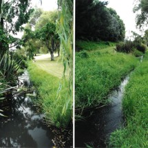 Waioraka