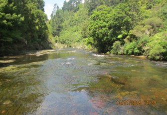 Ngamuwahine at 217 Ngamuwahine Rd