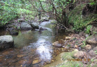 Owairoa at Otawa