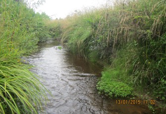 Waitao u/s Kaiate confluence