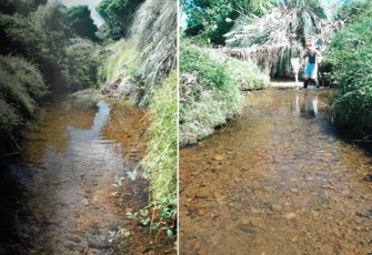Waitawake at SH 35