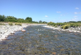 Ashburton River North Branch- looking downstream