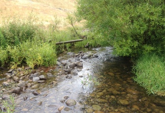 Lambies Stream Looking Upstream
