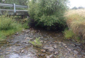 Lambies Stream Looking Downstream