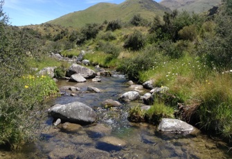 Trib Of Stour Upstream