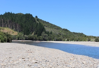 Haparapara at SH35 (Main photo)