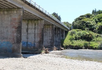 Kereu at SH35 (Main photo)