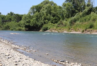 Whakatane at Ruatoki - River
