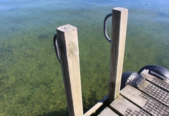 Lake Rotoiti at Gisborne Point - Ladder off Jetty