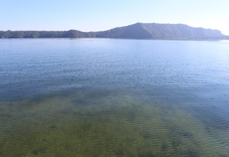 Lake Rotoiti at Gisborne Point - Clear Water