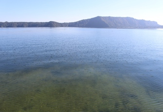Lake Rotoiti at Gisborne Point - Clear Water