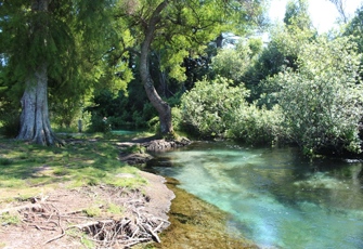 Hamurana at Hamurana Rd (Main photo)