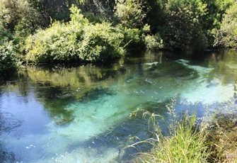 Hamurana at Hamurana Rd - Clear Waters
