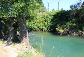 Waiteti at SH36 - Upstream