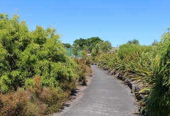 Ngongotaha at Railway Bridge - Walkway