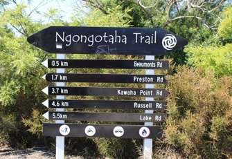 Ngongotaha at Railway Bridge - Different Walking Paths