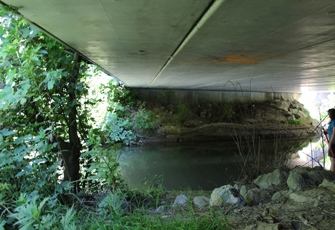Utuhina at Lake Road