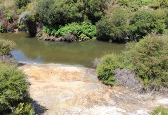 Puarenga at Whakarewarewa - Water