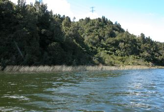 Lake Rotoehu at Otautu Bay