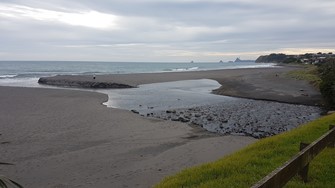 Waimoku Stream at beach